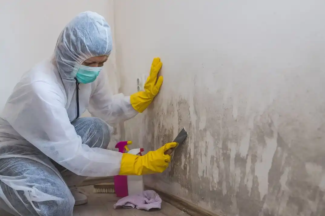 water damage restoration service Aston Woodbridge